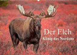 Der Elch - König des Nordens (Wandkalender 2023 DIN A2 quer)