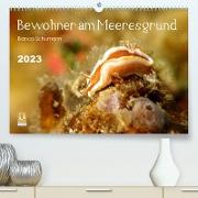 Bewohner am Meeresgrund (Premium, hochwertiger DIN A2 Wandkalender 2023, Kunstdruck in Hochglanz)