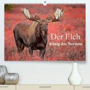 Der Elch - König des Nordens (Premium, hochwertiger DIN A2 Wandkalender 2023, Kunstdruck in Hochglanz)
