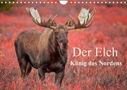 Der Elch - König des Nordens (Wandkalender 2023 DIN A4 quer)