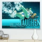 Erlebnis Tauchen - faszinierende Unterwasserwelt (Premium, hochwertiger DIN A2 Wandkalender 2023, Kunstdruck in Hochglanz)