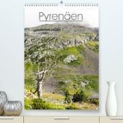 Pyrenäen - Spanien und Frankreich (Premium, hochwertiger DIN A2 Wandkalender 2023, Kunstdruck in Hochglanz)