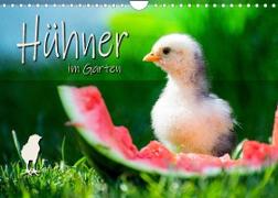 Hühner im Garten (Wandkalender 2023 DIN A4 quer)