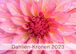 Dahlien-Kronen (Wandkalender 2023 DIN A2 quer)