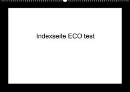 indexseite ECO test (Wandkalender 2023 DIN A2 quer)