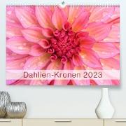 Dahlien-Kronen (Premium, hochwertiger DIN A2 Wandkalender 2023, Kunstdruck in Hochglanz)