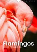 Flamingos in rosa Federpracht. (Wandkalender 2023 DIN A4 hoch)
