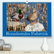Bezauberndes Federvieh (Premium, hochwertiger DIN A2 Wandkalender 2023, Kunstdruck in Hochglanz)
