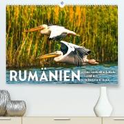 Rumänien - Das beeindruckende Land am Schwarzen Meer. (Premium, hochwertiger DIN A2 Wandkalender 2023, Kunstdruck in Hochglanz)