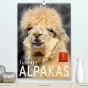 Lustige Alpakas (Premium, hochwertiger DIN A2 Wandkalender 2023, Kunstdruck in Hochglanz)