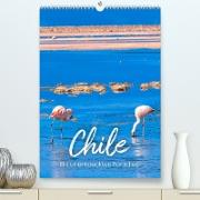 Chile - Ein unentdecktes Paradies. (Premium, hochwertiger DIN A2 Wandkalender 2023, Kunstdruck in Hochglanz)