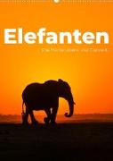 Elefanten - Die Herzeroberer der Tierwelt. (Wandkalender 2023 DIN A2 hoch)