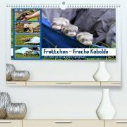 Frettchen - Freche Kobolde (Premium, hochwertiger DIN A2 Wandkalender 2023, Kunstdruck in Hochglanz)