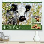 MuhViehStars (Premium, hochwertiger DIN A2 Wandkalender 2023, Kunstdruck in Hochglanz)