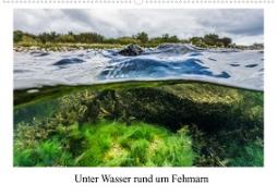 Unter Wasser rund um Fehmarn (Wandkalender 2023 DIN A2 quer)
