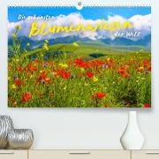 Die schönsten Blumenwiesen der Welt (Premium, hochwertiger DIN A2 Wandkalender 2023, Kunstdruck in Hochglanz)