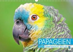 Papageien: Farbenpracht im Flug (Wandkalender 2023 DIN A3 quer)