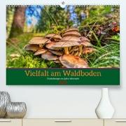 Vielfalt am Waldboden (Premium, hochwertiger DIN A2 Wandkalender 2023, Kunstdruck in Hochglanz)