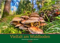 Vielfalt am Waldboden (Wandkalender 2023 DIN A2 quer)