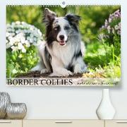 Border Collies - nicht nur schwarzweiß (Premium, hochwertiger DIN A2 Wandkalender 2023, Kunstdruck in Hochglanz)