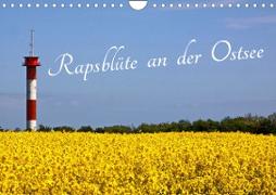Rapsblüte an der Ostsee (Wandkalender 2023 DIN A4 quer)