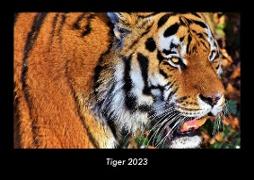 Tiger 2023 Fotokalender DIN A3