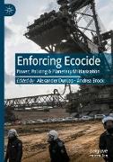 Enforcing Ecocide