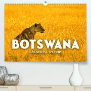 Botswana - Grandiose Wildnis (Premium, hochwertiger DIN A2 Wandkalender 2023, Kunstdruck in Hochglanz)
