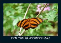 Bunte Pracht der Schmetterlinge 2023 Fotokalender DIN A5