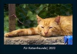 Für Katzenfreunde 2023 Fotokalender DIN A4