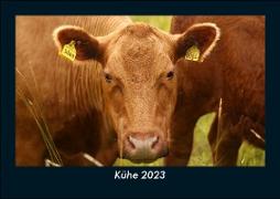 Kühe 2023 Fotokalender DIN A5
