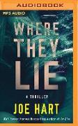 Where They Lie: A Thriller
