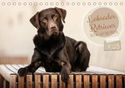 Labrador Retriever - Vielfalt auf Vier Pfoten (Tischkalender 2023 DIN A5 quer)
