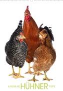 Kunterbunte Hühner Truppe (Wandkalender immerwährend DIN A2 hoch)