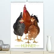 Kunterbunte Hühner Truppe (Premium, hochwertiger DIN A2 Wandkalender 2023, Kunstdruck in Hochglanz)