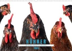Die lustigen Hühner aus Mosenhof (Wandkalender 2023 DIN A3 quer)