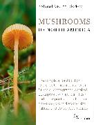 National Audubon Society Mushrooms of North America