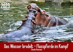 Das Wasser brodelt - Flusspferde im Kampf (Wandkalender 2023 DIN A2 quer)