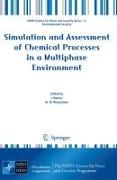 Simulation and Assessment of Chemical Processes in a Multiphase Environment