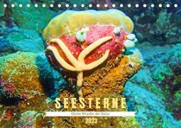Seesterne - Kleine Wunder der Natur (Tischkalender 2023 DIN A5 quer)