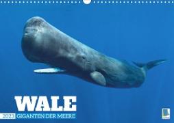 Wale: Giganten der Meere (Wandkalender 2023 DIN A3 quer)