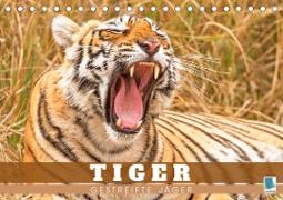 Tiger: Gestreifte Jäger (Tischkalender 2023 DIN A5 quer)