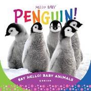Hello Baby Penguin!