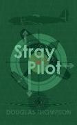 Stray Pilot