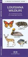 Louisiana Wildlife: A Folding Pocket Guide to Familiar Species