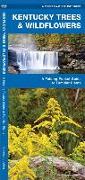 Kentucky Trees & Wildflowers: A Folding Pocket Guide to Familiar Species