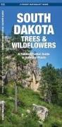 South Dakota Trees & Wildflowers: A Folding Pocket Guide to Familiar Plants