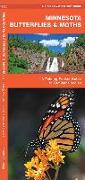 Minnesota Butterflies & Moths: A Folding Pocket Guide to Familiar Species