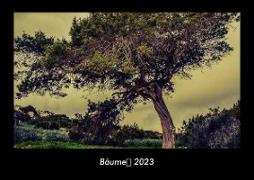 Bäume 2023 Fotokalender DIN A3