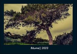 Bäume 2023 Fotokalender DIN A4